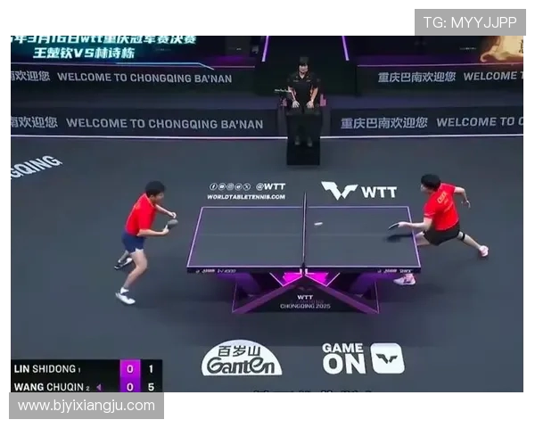 乒乓球新手必看团队协作技巧与入门指南助你快速提升球技