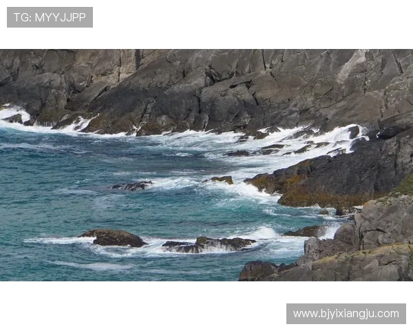 张静的足球人生深度对话探讨她的成长与梦想之路